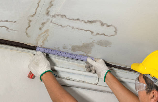 Affordable Ceiling Water Damage Repair solutions in Boon, MI